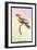 Hummingbird: Trochilus Chalybeus-Sir William Jardine-Framed Art Print