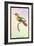 Hummingbird: Trochilus Chalybeus-Sir William Jardine-Framed Art Print