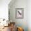Hummingbird: Trochilus Petasphorus-Sir William Jardine-Framed Art Print displayed on a wall