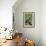 Hummingbird V-Larry Malvin-Framed Photographic Print displayed on a wall