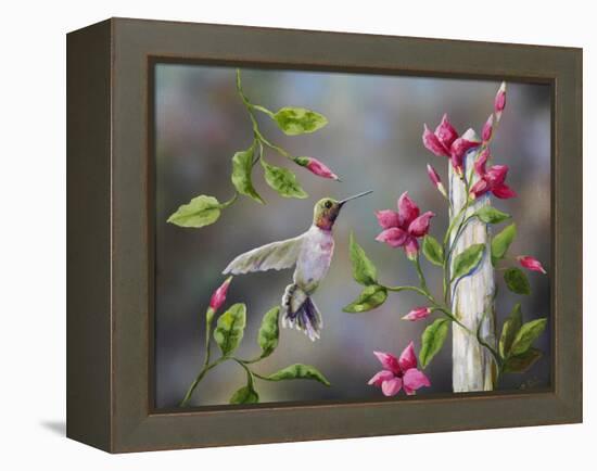 Hummingbird with Flowers-Sarah Davis-Framed Premier Image Canvas