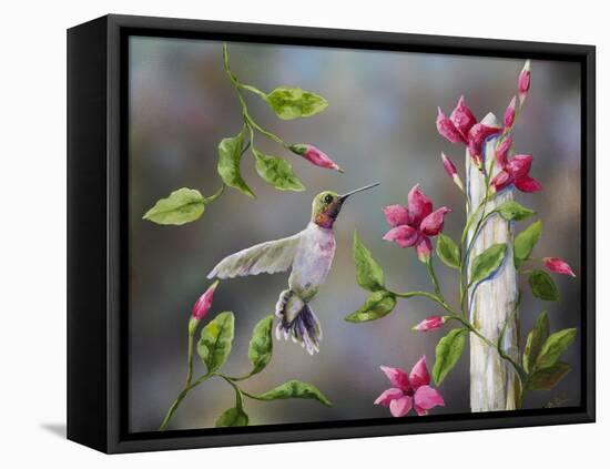 Hummingbird with Flowers-Sarah Davis-Framed Premier Image Canvas