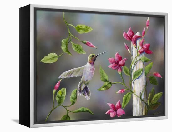 Hummingbird with Flowers-Sarah Davis-Framed Premier Image Canvas