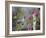 Hummingbird with Flowers-Sarah Davis-Framed Giclee Print