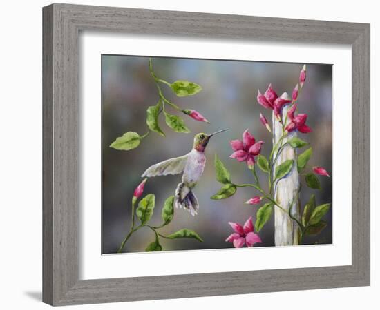 Hummingbird with Flowers-Sarah Davis-Framed Giclee Print