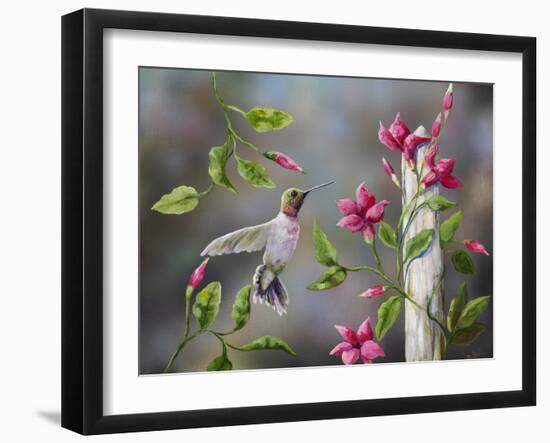 Hummingbird with Flowers-Sarah Davis-Framed Giclee Print