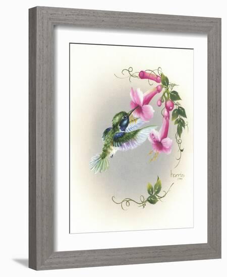 Hummingbird with Trumpet Flowers 2-Peggy Harris-Framed Giclee Print