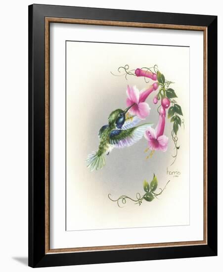 Hummingbird with Trumpet Flowers 2-Peggy Harris-Framed Giclee Print