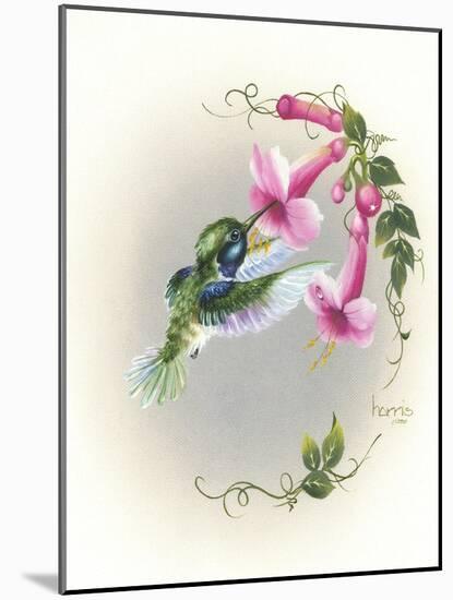 Hummingbird with Trumpet Flowers 2-Peggy Harris-Mounted Giclee Print