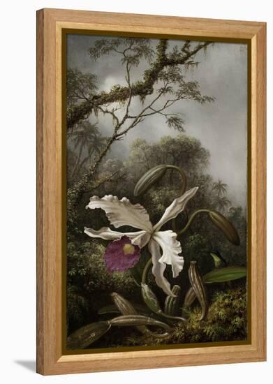 Hummingbird with White Orchid, 1875-1885-Martin Johnson Heade-Framed Premier Image Canvas