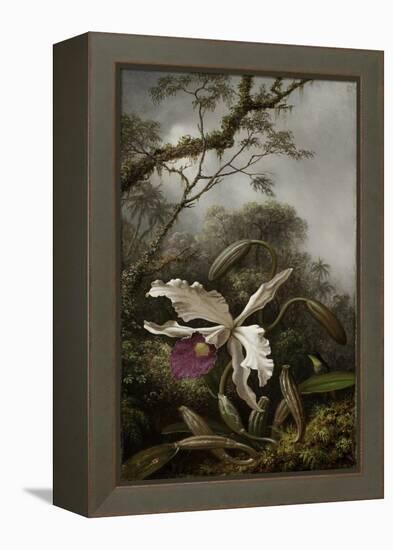 Hummingbird with White Orchid, 1875-1885-Martin Johnson Heade-Framed Premier Image Canvas