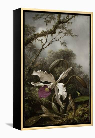 Hummingbird with White Orchid, 1875-1885-Martin Johnson Heade-Framed Premier Image Canvas