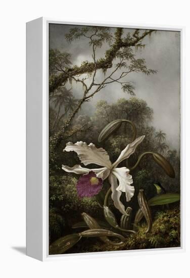Hummingbird with White Orchid, 1875-1885-Martin Johnson Heade-Framed Premier Image Canvas