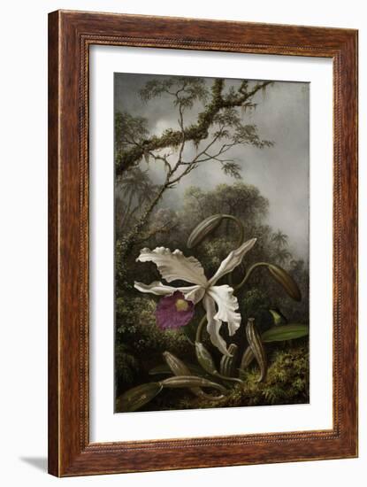 Hummingbird with White Orchid, 1875-1885-Martin Johnson Heade-Framed Giclee Print