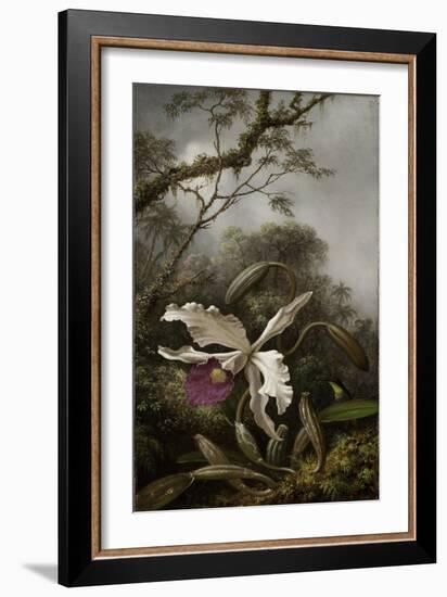 Hummingbird with White Orchid, 1875-1885-Martin Johnson Heade-Framed Giclee Print
