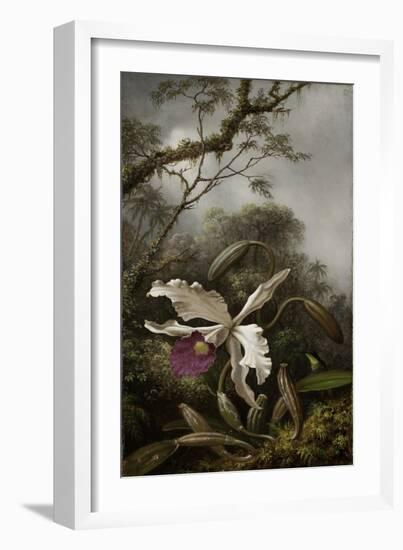 Hummingbird with White Orchid, 1875-1885-Martin Johnson Heade-Framed Giclee Print