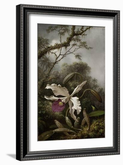 Hummingbird with White Orchid, 1875-1885-Martin Johnson Heade-Framed Giclee Print