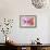 Hummingbird XVII-Fernando Palma-Framed Giclee Print displayed on a wall