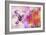 Hummingbird XVII-Fernando Palma-Framed Giclee Print