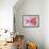 Hummingbird XVII-Fernando Palma-Framed Giclee Print displayed on a wall