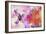 Hummingbird XVII-Fernando Palma-Framed Giclee Print