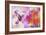 Hummingbird XVII-Fernando Palma-Framed Giclee Print