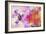 Hummingbird XVII-Fernando Palma-Framed Giclee Print