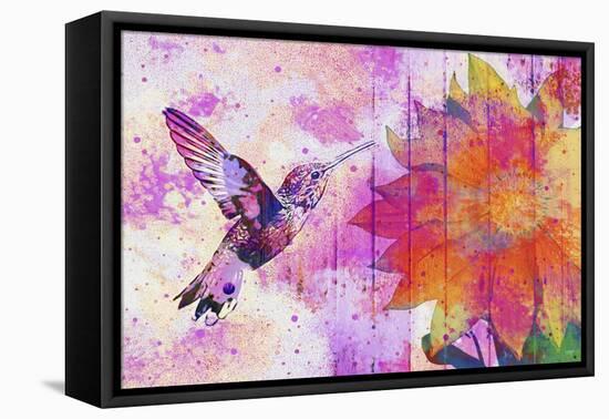 Hummingbird XVII-Fernando Palma-Framed Premier Image Canvas