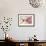 Hummingbird XVIII-Fernando Palma-Framed Giclee Print displayed on a wall