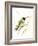 Hummingbird2-Suren Nersisyan-Framed Art Print