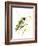 Hummingbird2-Suren Nersisyan-Framed Art Print