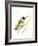 Hummingbird2-Suren Nersisyan-Framed Art Print