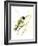 Hummingbird2-Suren Nersisyan-Framed Art Print