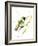 Hummingbird2-Suren Nersisyan-Framed Art Print