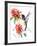 Hummingbird-Suren Nersisyan-Framed Art Print