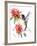 Hummingbird-Suren Nersisyan-Framed Art Print