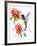 Hummingbird-Suren Nersisyan-Framed Art Print