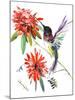 Hummingbird-Suren Nersisyan-Mounted Art Print