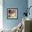 Hummingbird-Stan Hellmann-Framed Photo displayed on a wall
