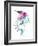 Hummingbird-Alexis Marcou-Framed Art Print