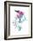 Hummingbird-Alexis Marcou-Framed Art Print