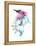 Hummingbird-Alexis Marcou-Framed Stretched Canvas