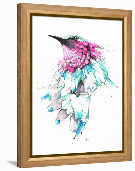 Hummingbird-Alexis Marcou-Framed Stretched Canvas