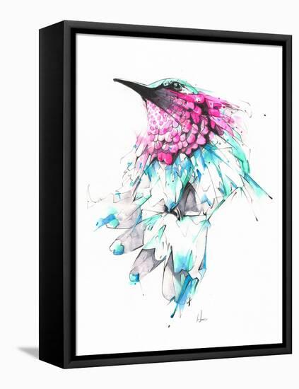 Hummingbird-Alexis Marcou-Framed Stretched Canvas