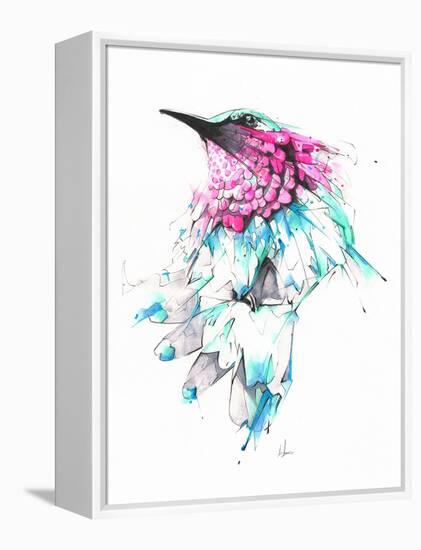 Hummingbird-Alexis Marcou-Framed Stretched Canvas