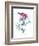 Hummingbird-Alexis Marcou-Framed Art Print