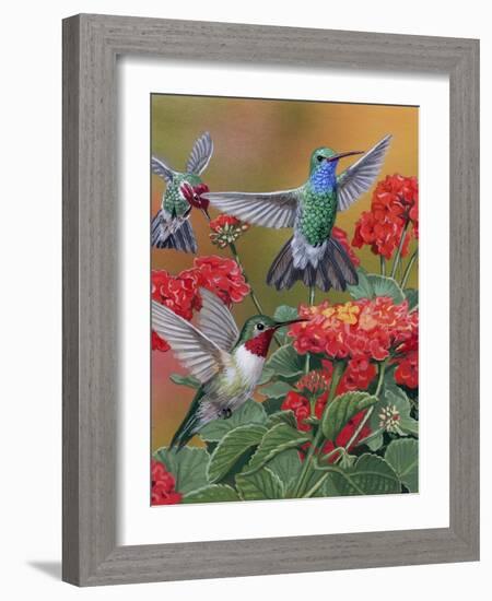 Hummingbirds and Flowers-William Vanderdasson-Framed Giclee Print