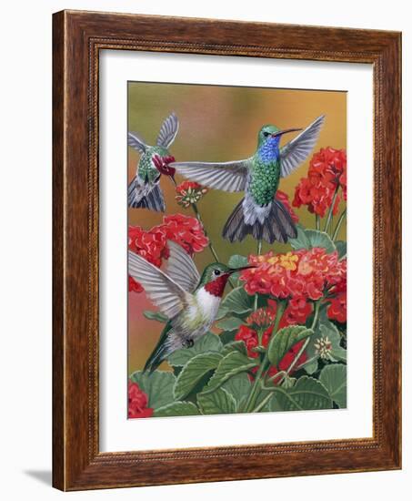 Hummingbirds and Flowers-William Vanderdasson-Framed Giclee Print