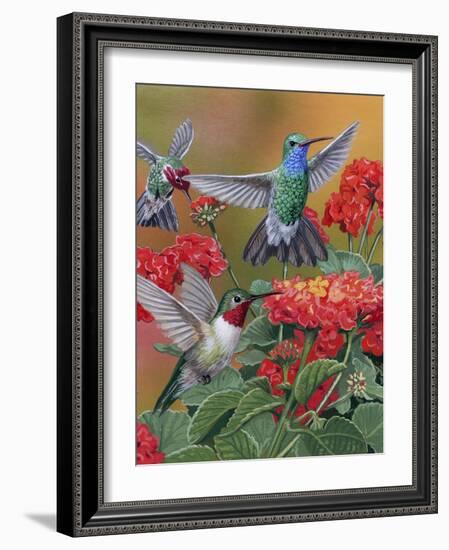 Hummingbirds and Flowers-William Vanderdasson-Framed Giclee Print