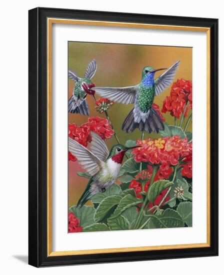 Hummingbirds and Flowers-William Vanderdasson-Framed Giclee Print